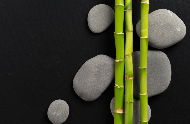 Descoperă beneficiile masajului cu bete de bambus pentru relaxare profundă